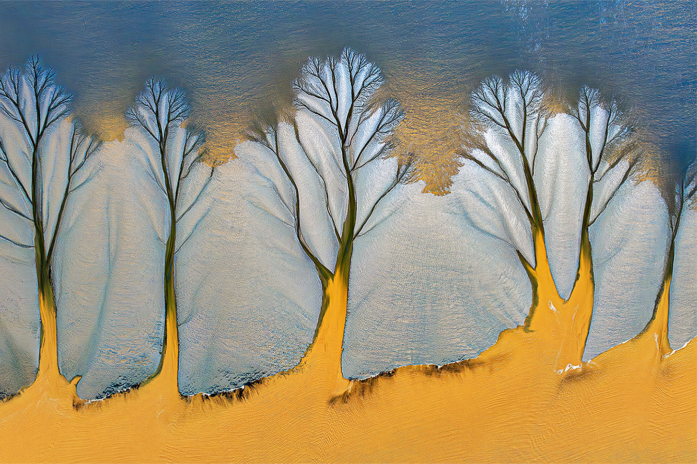 Jenqhorng Liang (Taiwan) Tidal tree of Qiantang River